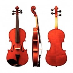 Скрипка GEWA Instrumenti Liuteria Allegro